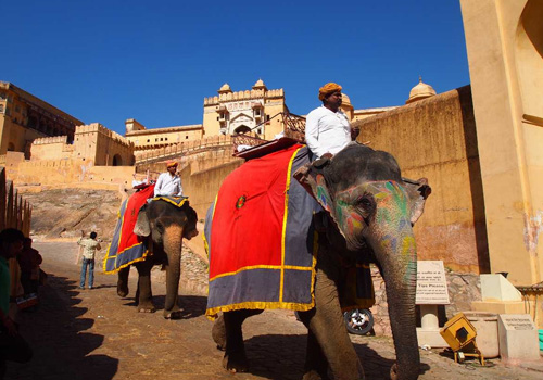 The Ultimate Guide to an Elephant Ride in Jaipur: A Royal Experience