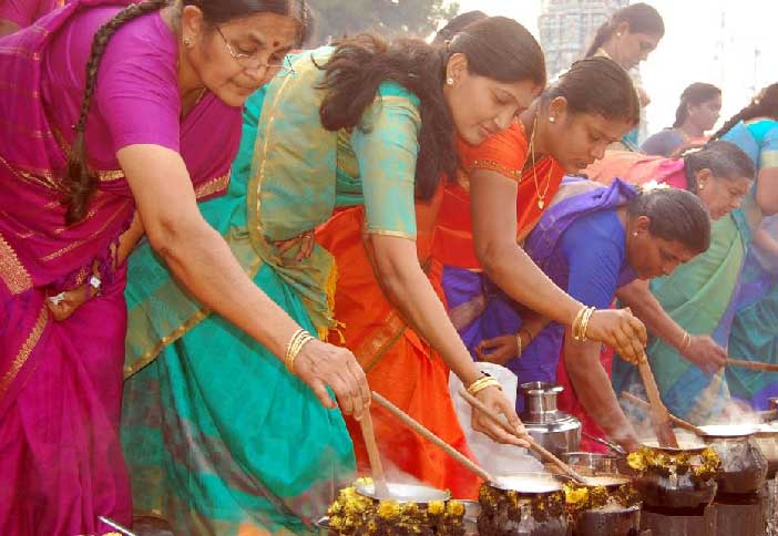 Pongal Festival