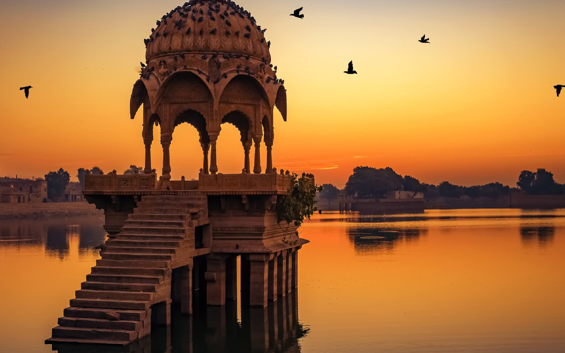 Book Essence of Rajasthan Tour  Forts, Palaces and Dreamy Deserts